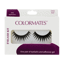(DP) Colormates Eyelash Kit Bold